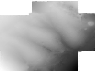 DTM
