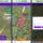 We have released “DF Walker”, a free application for field survey in forest