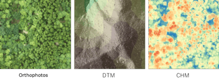 ortho-dtm-chm ortho-dtm-chm