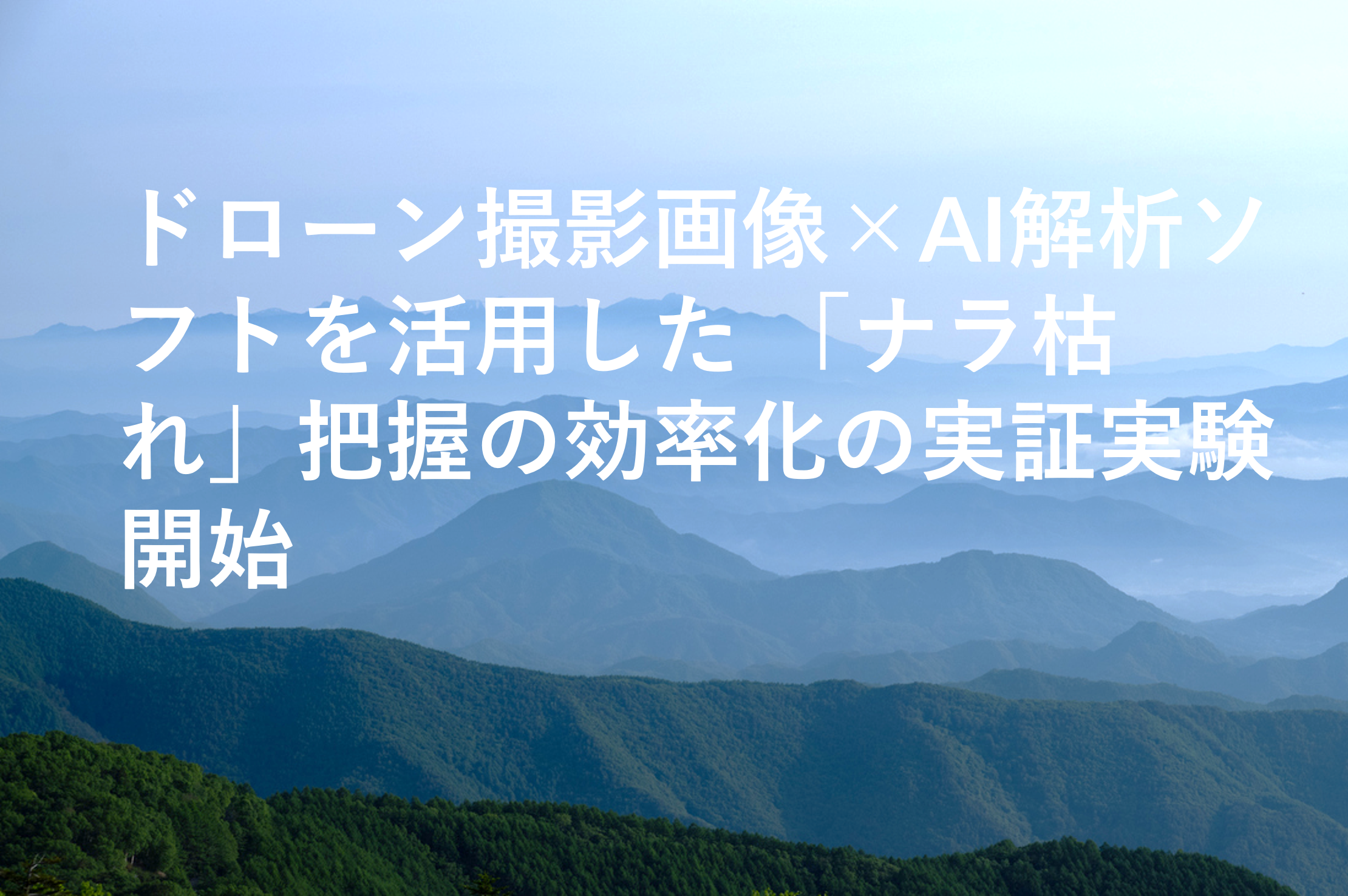 ドローン撮影画像×AI解析ソフトを活用した 「ナラ枯れ」把握の効率化の実証実験開始 ドローン撮影画像×AI解析ソフトを活用した 「ナラ枯れ」把握の効率化の実証実験開始