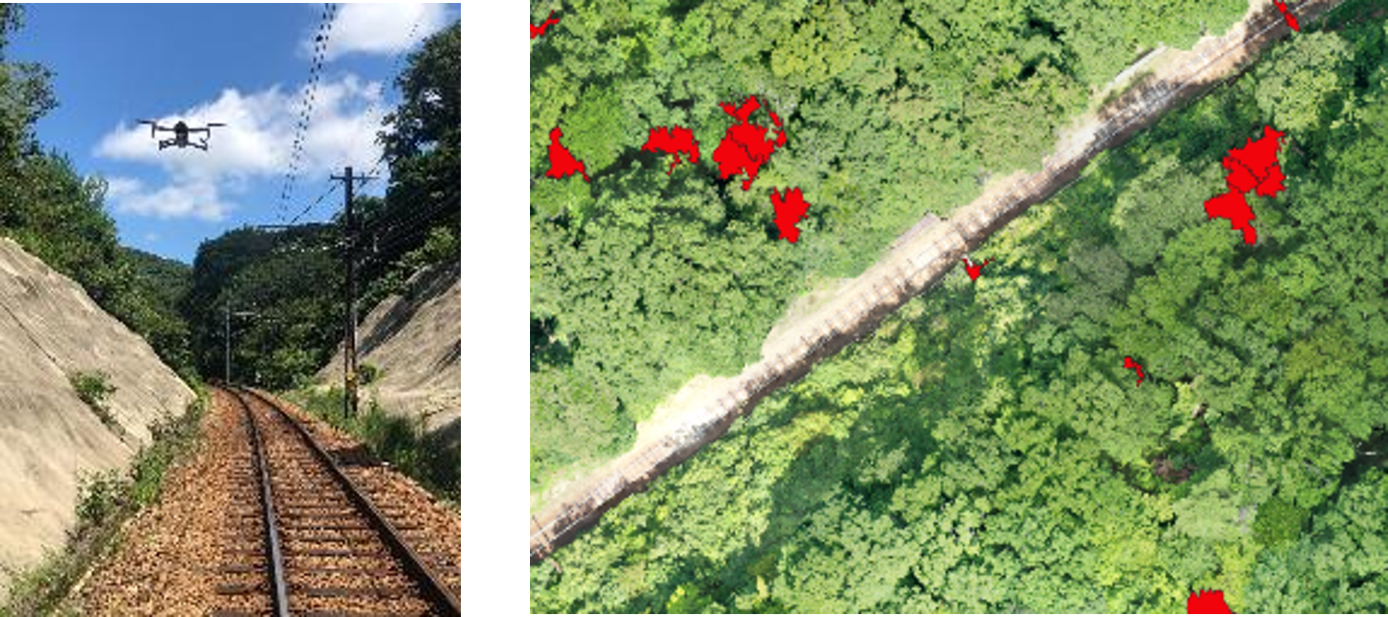 Smart Forestry