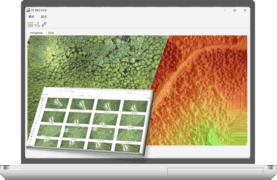 dfbird-screen