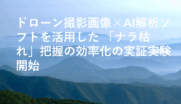 ドローン撮影画像×AI解析ソフトを活用した 「ナラ枯れ」把握の効率化の実証実験開始