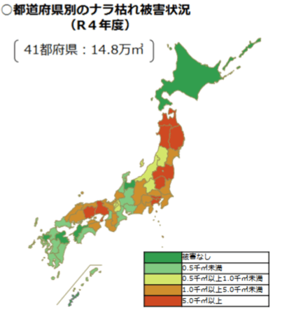 ナラ枯れ被害状況